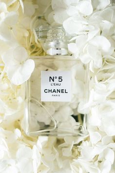 راهنمای خرید عطر برای لاکچری گردها 27 4160b775895ab67681f912a7b6472035