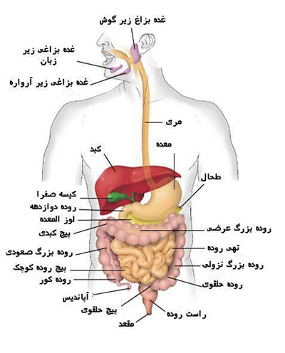جراحی چاقی بدن, عوارض جراحی چاقی