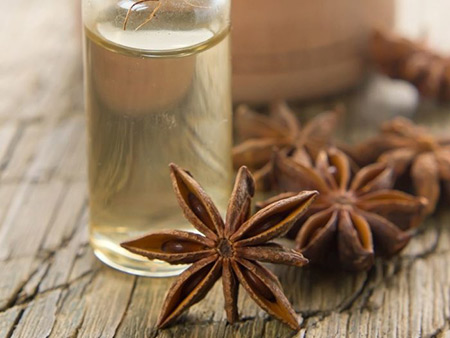 بادیان رومی,خواص تخم گیاه بادیان رومی,گیاه انیسون