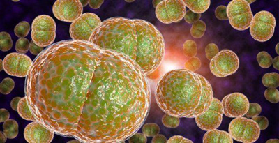 ویروس HIV, اولین نشانه های HIV