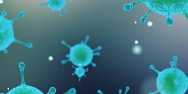 ۲ هزار گونه باکتری جدید در روده انسان شناسایی شدند