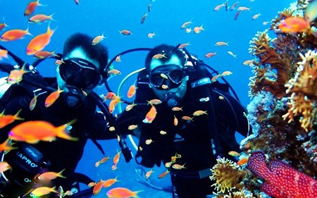 بهترین مکانهای غواصی در ترکیه 9 diving5 turkey 1