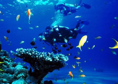 بهترین مکانهای غواصی در ترکیه 12 diving5 turkey 6