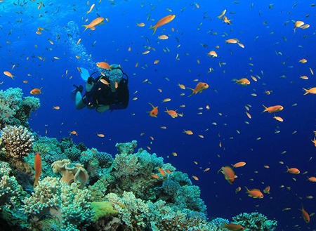 بهترین مکانهای غواصی در ترکیه 13 diving5 turkey 7