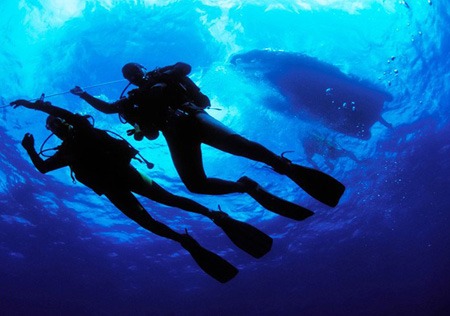 بهترین مکانهای غواصی در ترکیه 14 diving5 turkey 8