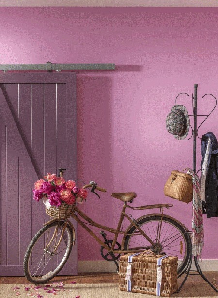 setup2 pink2 color4