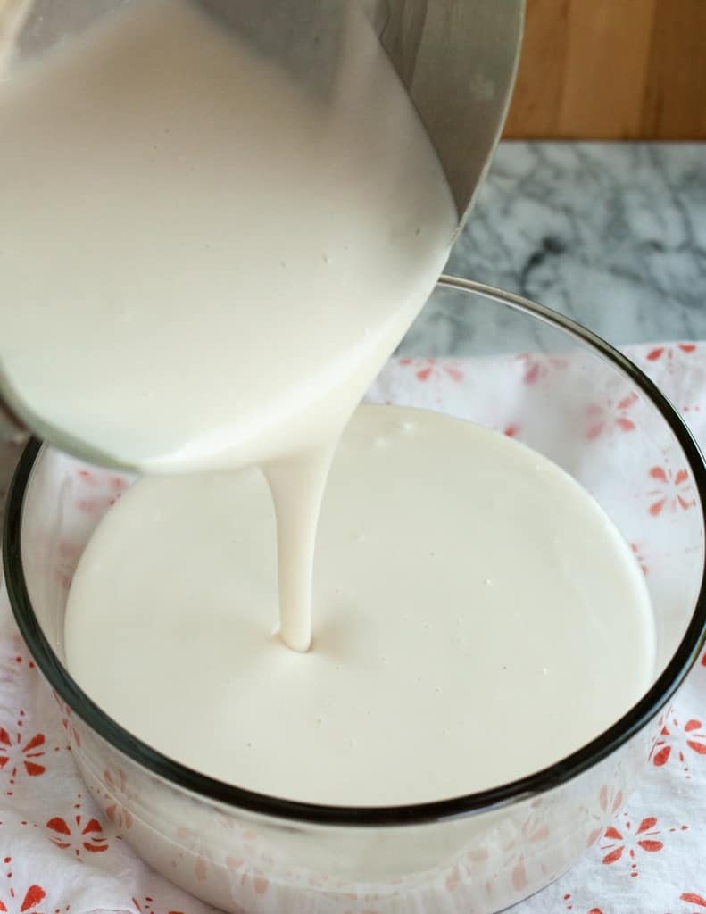 بستنی گیاهی16