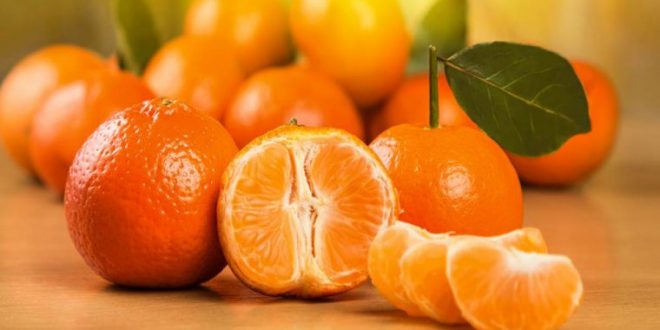 طبع سرد نارنگی مسکن قوی برای سلسله اعصاب